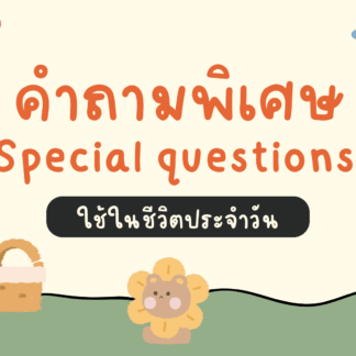 คำถามพิเศษ/Special questions 10 แผ่น