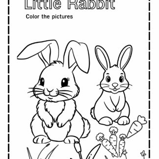 Little Rabbit ( ระบายสี Coloring)
