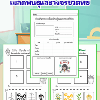 ใบงาน นักสำรวจเมล็ดพันธุ์และวงจรชีวิต