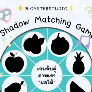 Shadow Matching Game