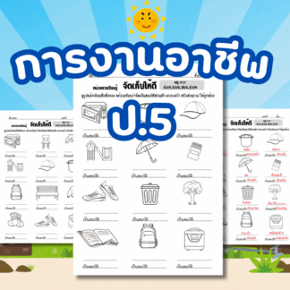 ใบงานสมบัติส่วนตัว ส่วนรวม (Career P5)