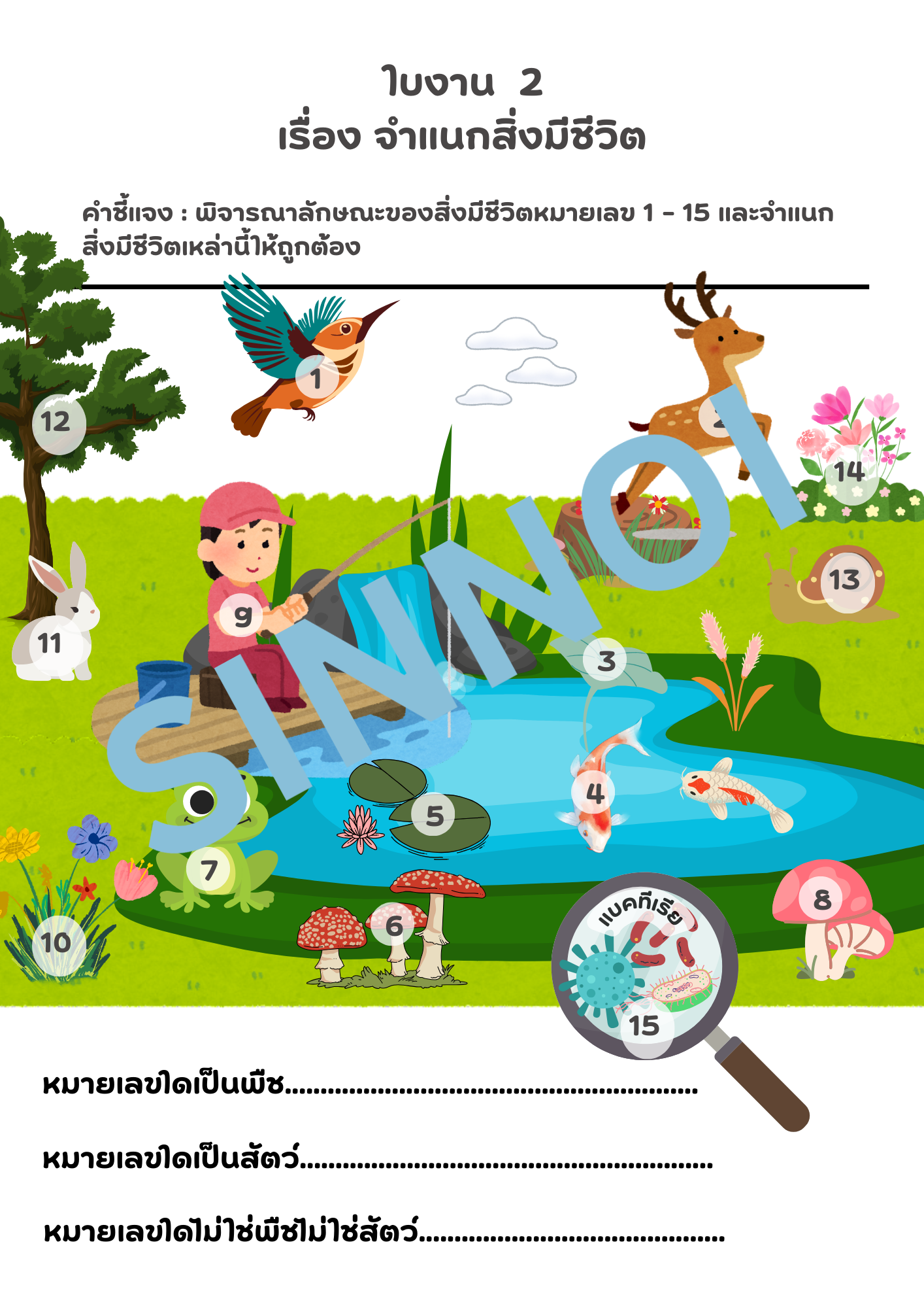 วิทยาศาสตร์ ป.4 เทอม 1 - Image 5