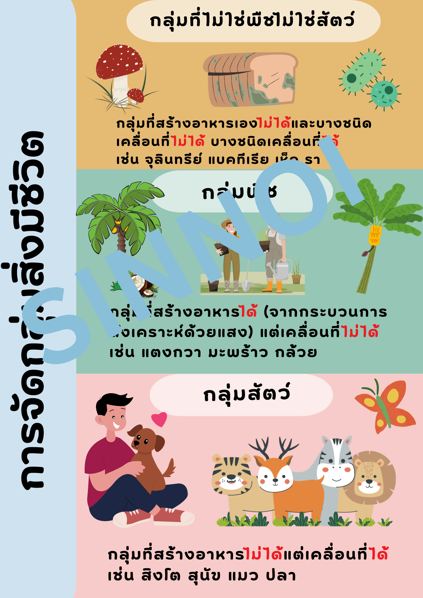 วิทยาศาสตร์ ป.4 เทอม 1 - Image 3