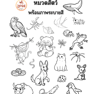 คัดคำศัพท์ภาษาจีนหมวดสัตว์ (Chinese words - Animals)